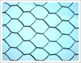 Single Twisted Hexagonal Mesh