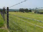 Pasture Fence